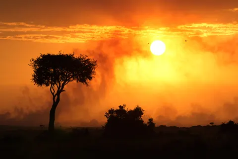 Savanna Sunset 4K Wallpaper · nature · 3840×2560