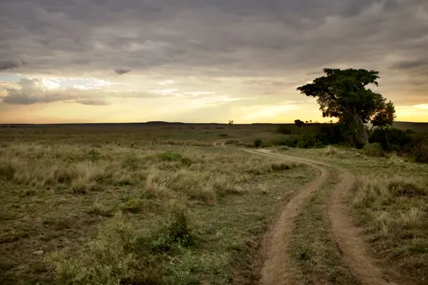 Savanna Sunset 4K Wallpaper · nature · 3840×2560