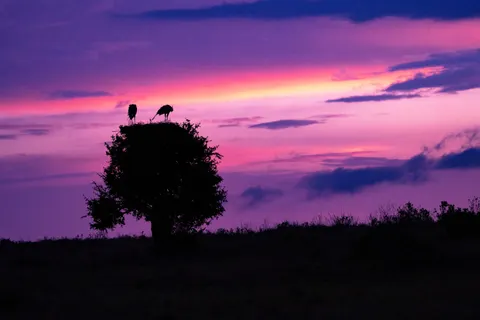 자연 4K 배경화면 · nature · 3840×2560