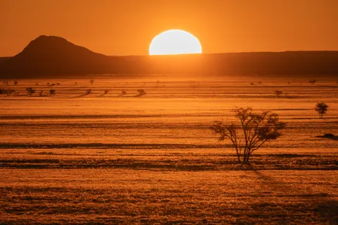 Savanna Sunset 4K Wallpaper · nature · 3840×2560