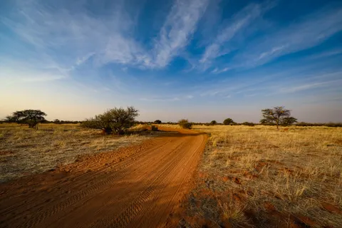 Savanna Sunset 4K Wallpaper · nature · 3840×2560