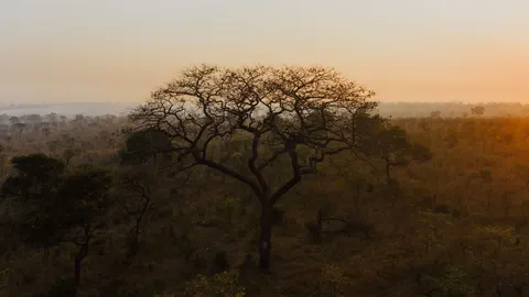 Savanna Sunset 4K Wallpaper · nature · 3840×2160