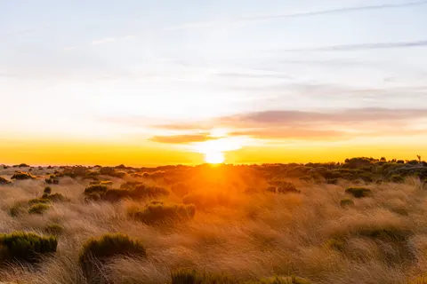Savanna Sunset 4K Wallpaper · nature · 3840×2561
