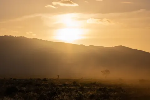 Savanna Sunset 4K Wallpaper · nature · 3840×2560