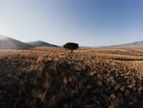 Savanna Sunset 4K Wallpaper · nature · 3840×2892