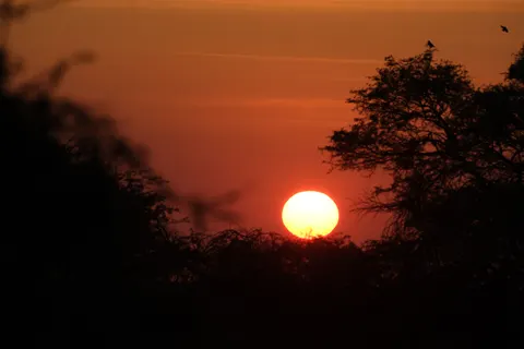Savanna Sunset 4K Wallpaper · nature · 3840×2560