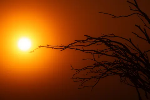 Savanna Sunset 4K Wallpaper · nature · 3840×2560