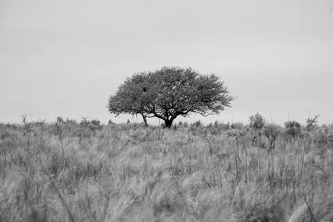 자연 4K 배경화면 · nature · 3840×2560