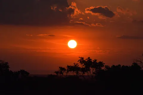 Savanna Sunset 4K Wallpaper · nature · 3840×2560