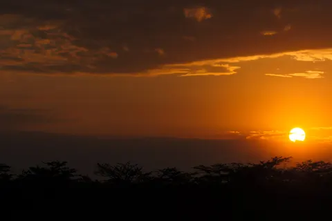 Savanna Sunset 4K Wallpaper · nature · 3840×2560