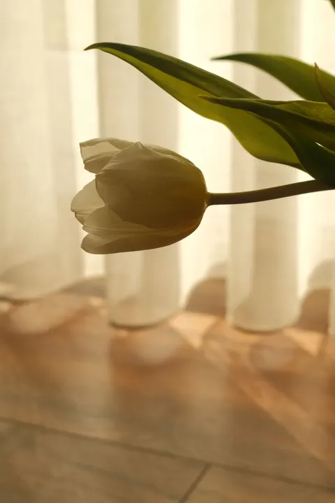 Curtain Light Phone Wallpaper · aesthetic · 1440×2160