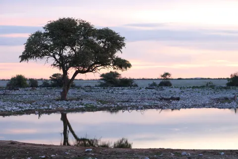 Fondo de pantalla Atardecer en la sabana 4K · nature · 3840×2560