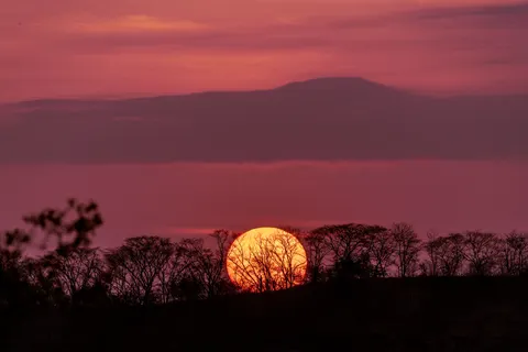 Savanna Sunset 4K Wallpaper · nature · 3840×2560