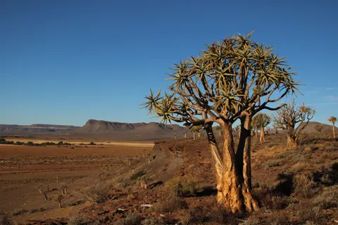 خلفية طبيعة بدقة 4K · nature · 3840×2560