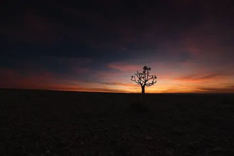 稀树草原日落 4K壁纸 · nature · 3840×2560