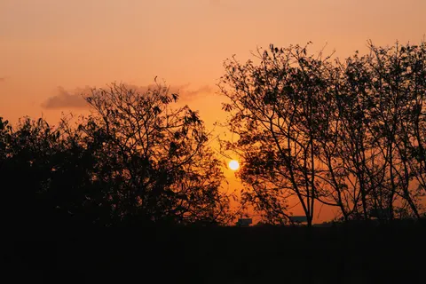 Savanna Sunset 4K Wallpaper · nature · 3840×2560