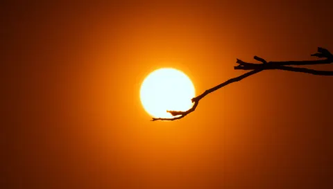 Savanna Sunset 4K Wallpaper · nature · 3840×2183