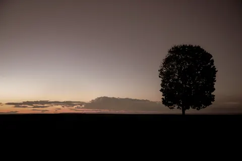 Fond d'écran Nature 4K · nature · 3840×2561