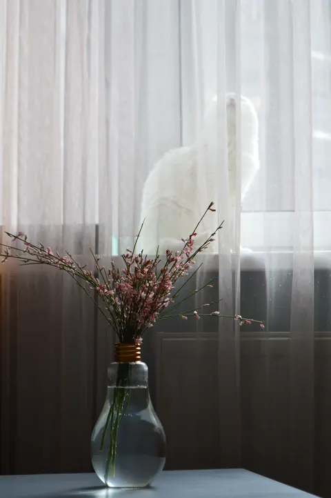 Curtain Light Phone Wallpaper · aesthetic · 1440×2166