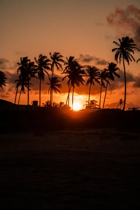 Beach Mood Phone Wallpaper · aesthetic · 1440×2160