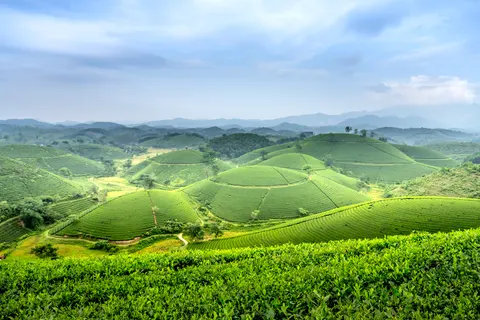 خلفية تلال خضراء بدقة 4K · nature · 3840×2560