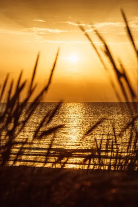 Beach Mood Phone Wallpaper · aesthetic · 1440×2160
