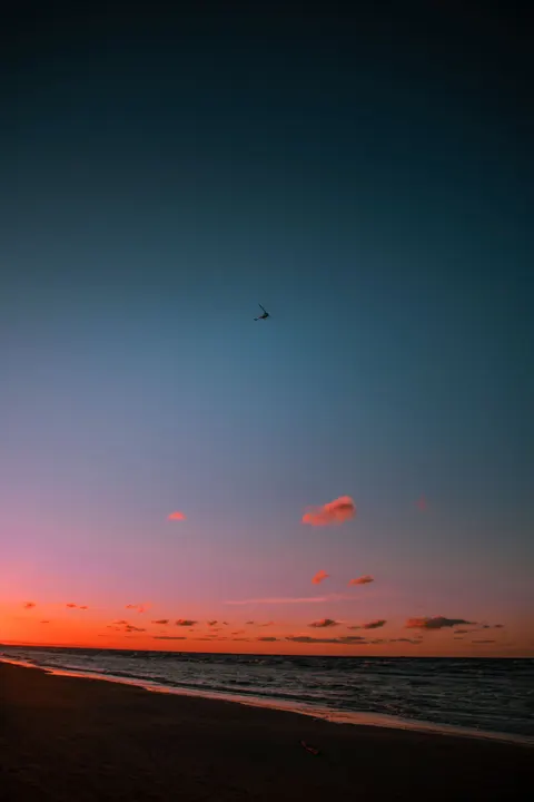 Beach Mood Phone Wallpaper · aesthetic · 1440×2160