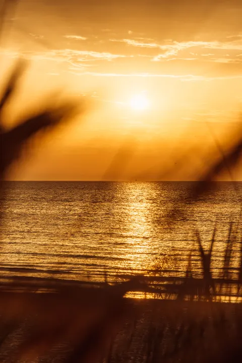 Beach Mood Phone Wallpaper · aesthetic · 1440×2160