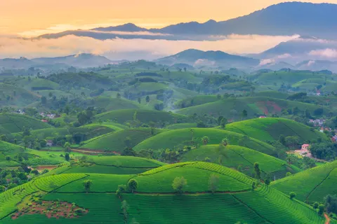 绿色山丘 4K壁纸 · nature · 3840×2563