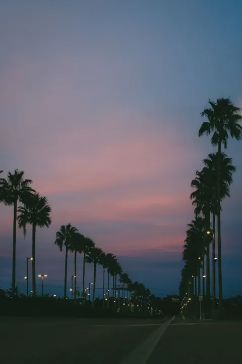 Aesthetic Mood Phone Wallpaper · aesthetic · 1440×2160