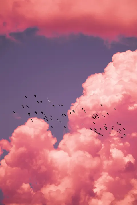 Aesthetic Mood Phone Wallpaper · aesthetic · 1440×2160