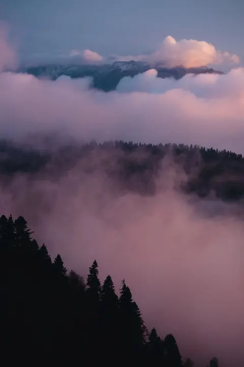 Aesthetic Mood Phone Wallpaper · aesthetic · 1440×2160