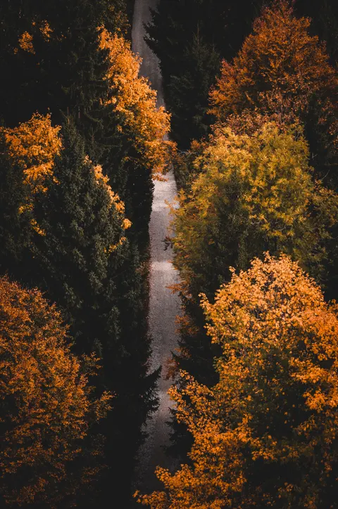Aesthetic Mood Phone Wallpaper · aesthetic · 1440×2172