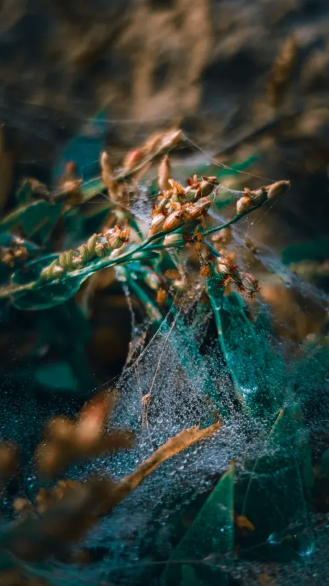 Aesthetic Mood Phone Wallpaper · aesthetic · 1440×2560