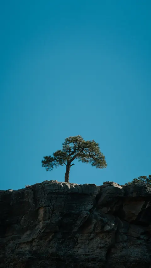 Aesthetic Mood Phone Wallpaper · aesthetic · 1440×2559