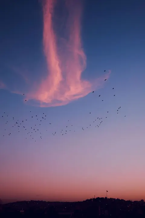 Aesthetic Mood Phone Wallpaper · aesthetic · 1440×2160