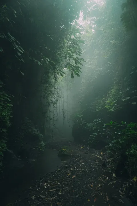 Aesthetic Mood Phone Wallpaper · aesthetic · 1440×2160