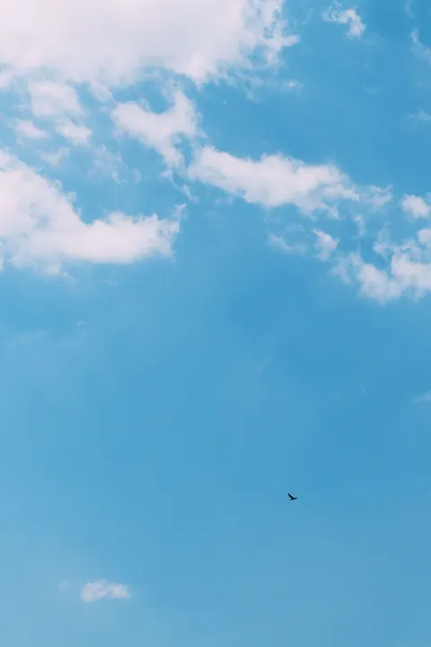 Aesthetic Mood Phone Wallpaper · aesthetic · 1440×2160