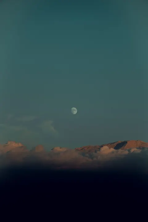 Aesthetic Mood Phone Wallpaper · aesthetic · 1440×2160