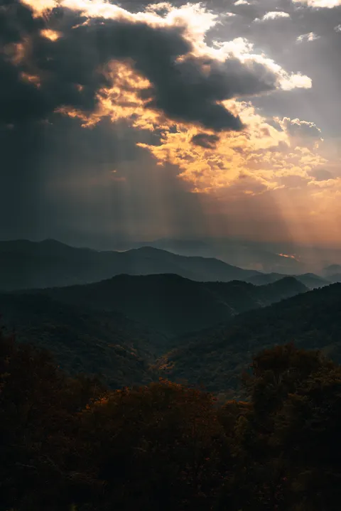 Aesthetic Mood Phone Wallpaper · aesthetic · 1440×2157
