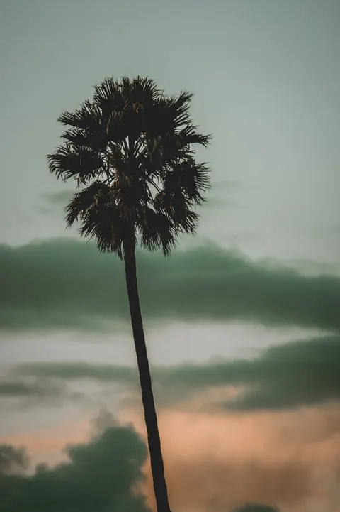 Aesthetic Mood Phone Wallpaper · aesthetic · 1440×2162