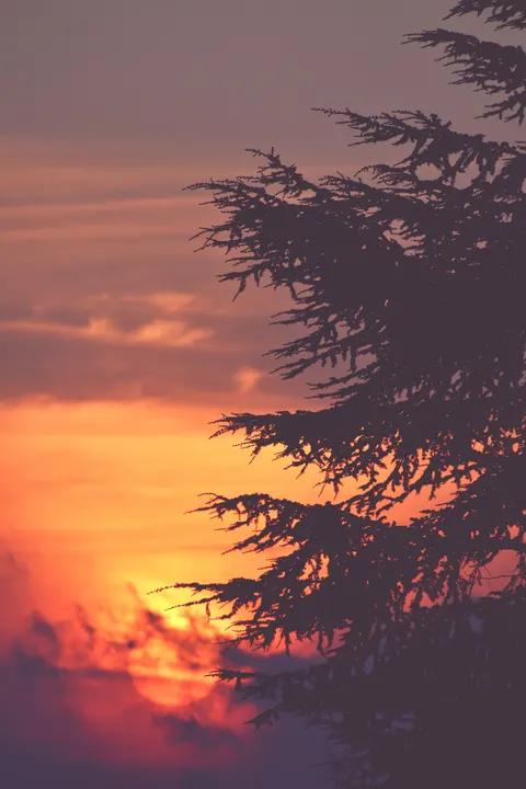 Aesthetic Mood Phone Wallpaper · aesthetic · 1440×2160