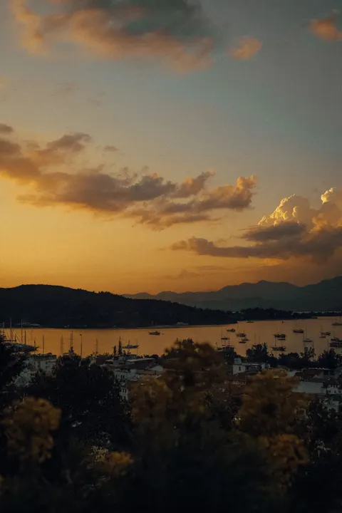 Golden Hour Phone Wallpaper · aesthetic · 1440×2160