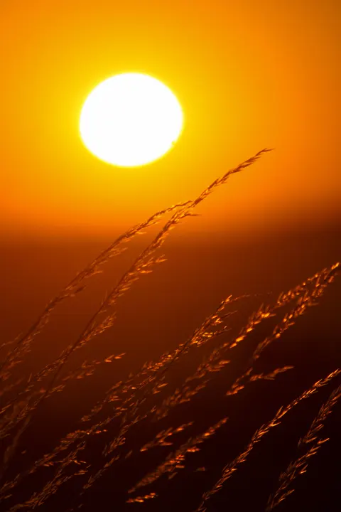 Golden Hour Phone Wallpaper · aesthetic · 1440×2160