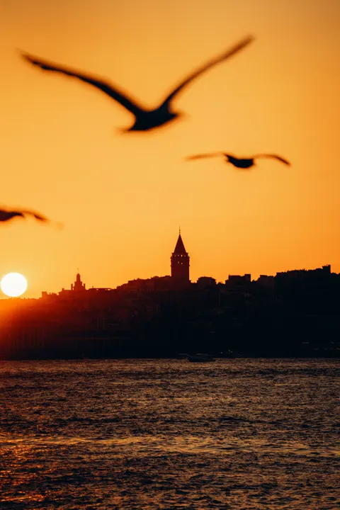 Golden Hour Phone Wallpaper · aesthetic · 1440×2160
