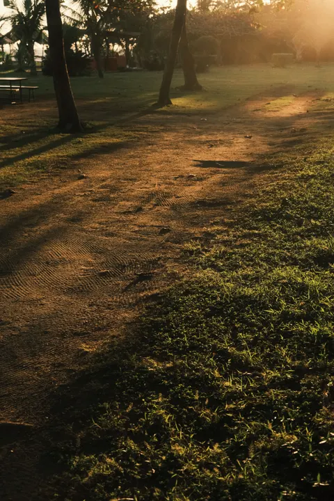 Golden Hour Phone Wallpaper · aesthetic · 1440×2160