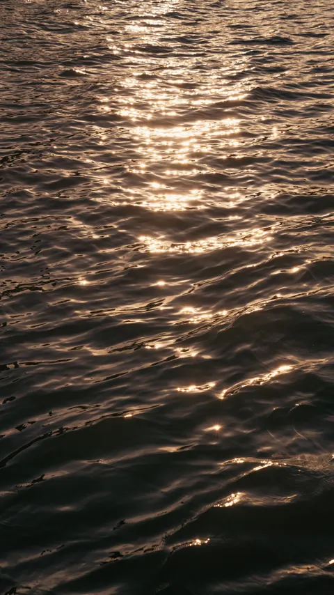 Golden Hour Phone Wallpaper · aesthetic · 1440×2561
