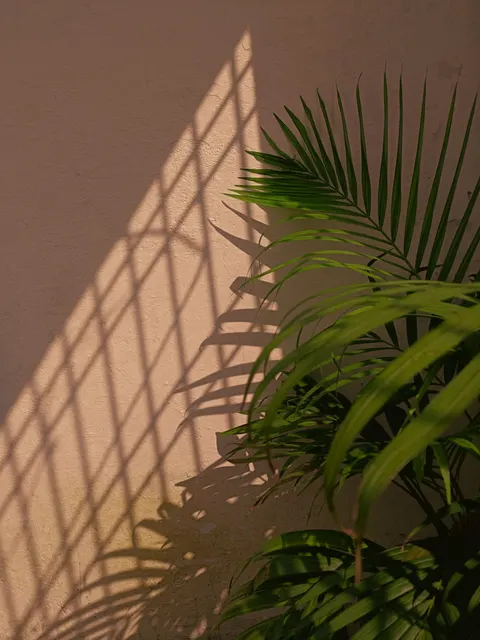 Golden Hour Phone Wallpaper · aesthetic · 1440×1920