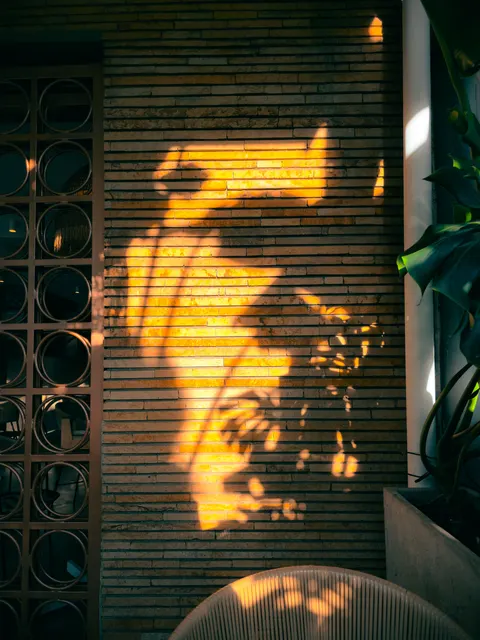 Golden Hour Phone Wallpaper · aesthetic · 1440×1920