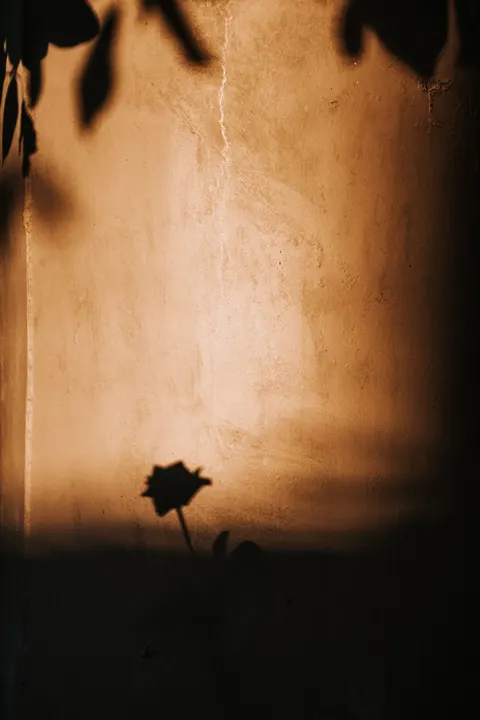 Golden Hour Phone Wallpaper · aesthetic · 1440×2160